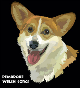 彭布罗克威尔士科基犬，矢量肖像