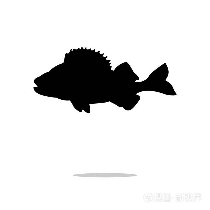 鲈鱼鱼水生的黑色剪影动物