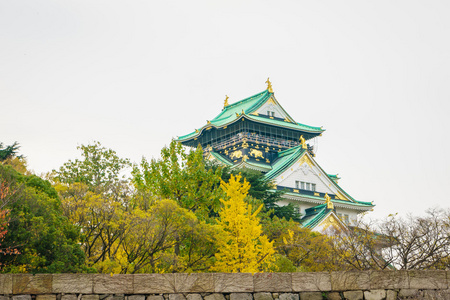 在大阪市的城堡