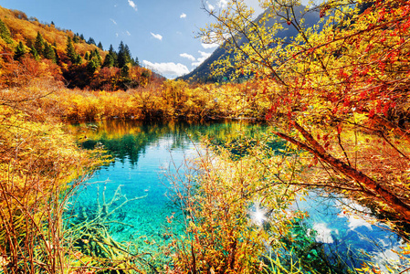 秋天的树林反映在梦幻般的池塘里，与蔚蓝的水
