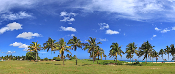 加勒比热带海滩美丽白色沙滩 绿松石水和棕榈树在塔拉拉 哈瓦那，古巴。全景视图