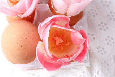 在蛋壳上白色的酒泉的春天复活节装饰郁金香