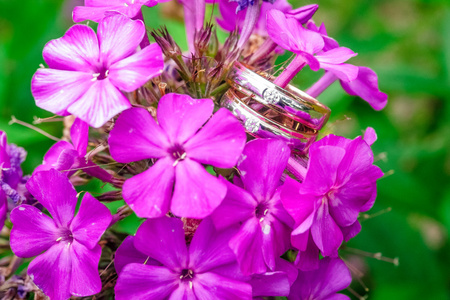 紫色的花朵和结婚戒指