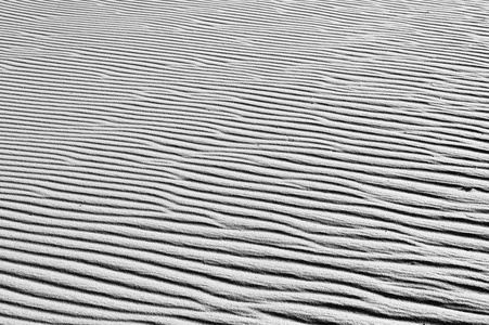 在沙丘上砂