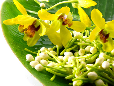 白色栀子花和香蕉黄兰花离开图片