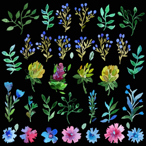 水彩矢量集具叶和花。手工绘制的植物