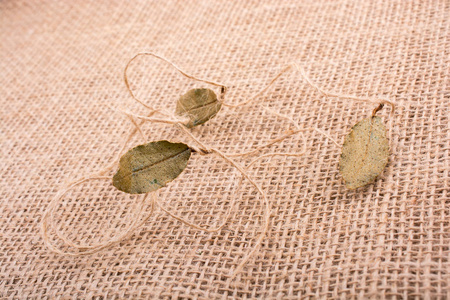亚麻帆布上的干绿叶子和丝线
