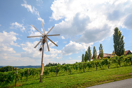 一条路与通过葡萄园，奥地利南部施蒂利亚州的风车 Klapotetz