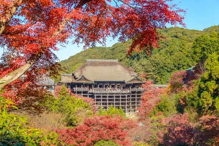 在秋天季节在日本京都清水寺