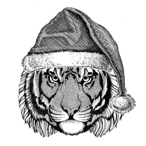 野生老虎戴圣诞帽子新的一年平安夜圣诞快乐和新年快乐动物园生活假期庆祝圣诞老人帽子