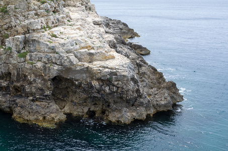 岩质海岸和海