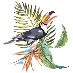 巨嘴鸟鹤望兰热带花卉和叶子。设计的邀请 电影海报 织物和其他对象的元素。孤立对白色