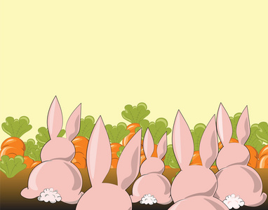 胡萝卜的兔子