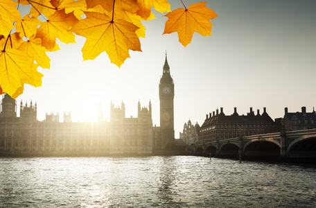 秋天的落叶和威斯敏斯特，伦敦，英国
