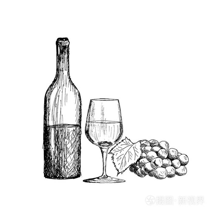 酒一套.一杯, 一瓶和一堆葡萄葡萄酒手绘制素描矢量图