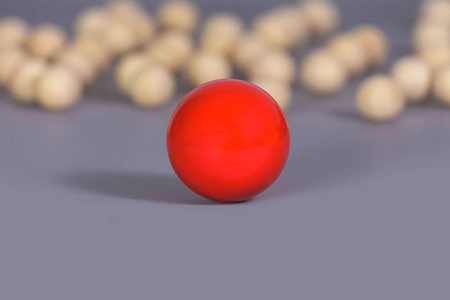 领导概念 红球和木球和灰色的影子