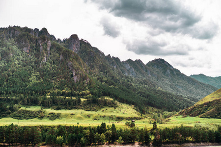 阿尔泰山与草甸的风景