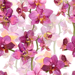 花无缝背景水彩画紫兰花