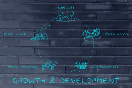 增长与发展周期图