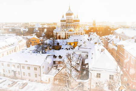 爱沙尼亚塔林冬天的全景