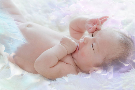 初生女婴在皮毛上的毛毯上花背景