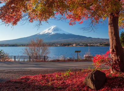 富士山和秋叶