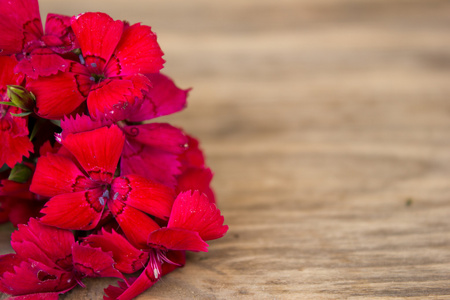 红色康乃馨在木桌上副本空间