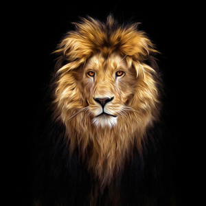 美丽的狮子，狮子在黑暗中的，油画颜料的肖像
