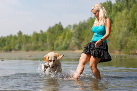 成熟的女人玩弄在湖中的一只拉布拉多犬