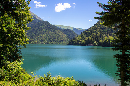 通过绿色的树木图像山下湖