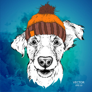 与图像的狗画像在冬天帽子海报。矢量图