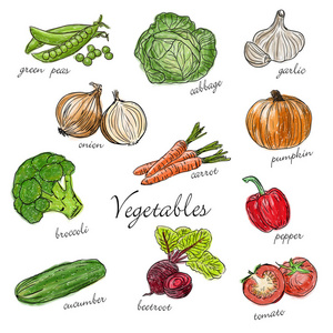 类型的新鲜蔬菜，描述