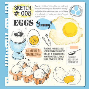 食品写生鸡与鹌鹑蛋