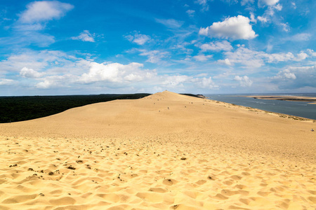 在法国波尔多湾拉特 dune