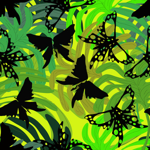 在丛林中的蝴蝶。无缝