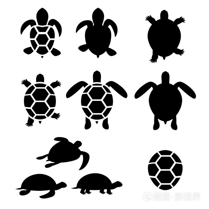 海龟和乌龟的剪影一套插画-正版商用图片0e343x-摄图新视界