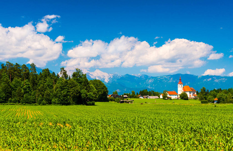 山峦 森林 绿色的田野和老教堂与橙色屋顶的美丽景观。斯洛文尼亚