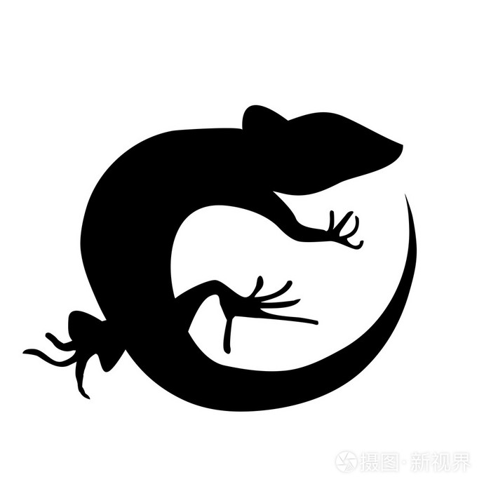 美丽的单色蜥蜴,蜥蜴的轮廓.矢量怡乐思