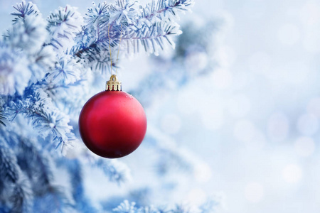 雪的树枝上挂着红色的圣诞球
