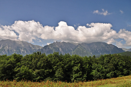 在罗马尼亚喀尔巴阡山脉的山风景