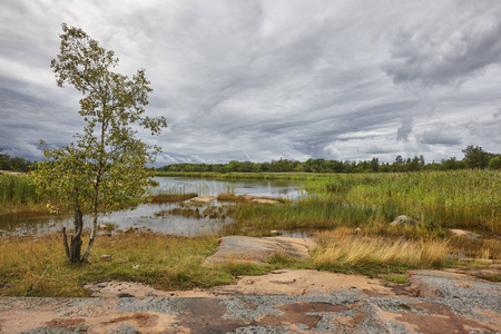 芬兰风景与森林和湖泊。奥兰群岛环境