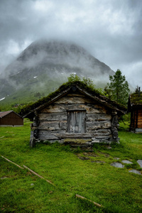风景的草老木房子的屋顶上，传统的挪威房子