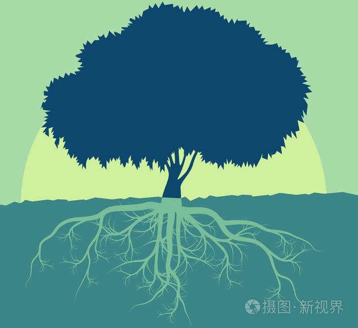 树的根矢量抽象背景概念与葡萄酒