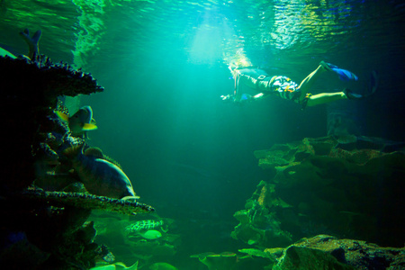 潜水员在水下水族馆图片