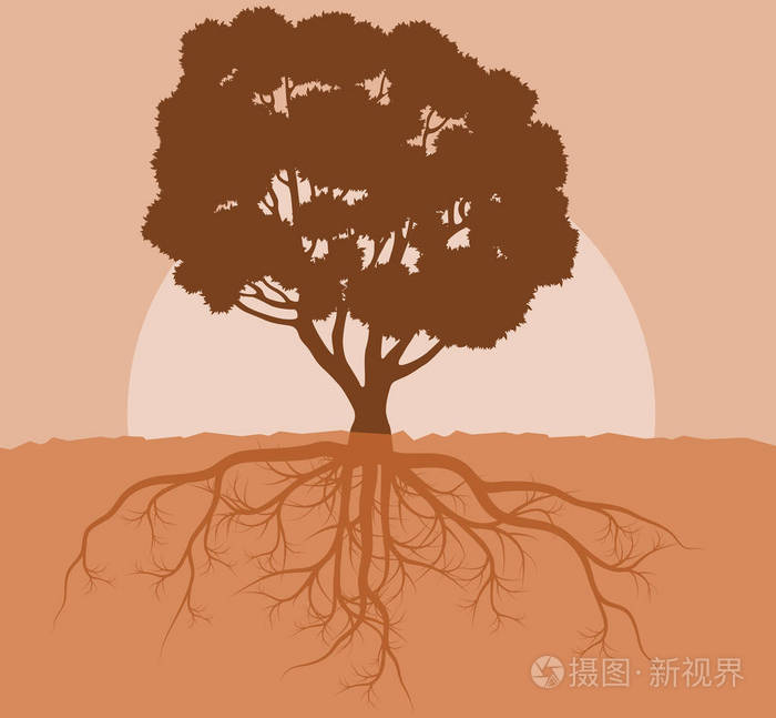 树的根矢量抽象背景概念与葡萄酒