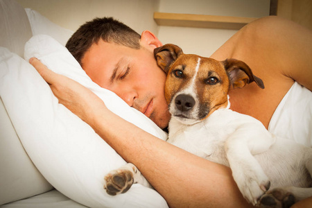 狗和主人睡觉或一起做梦