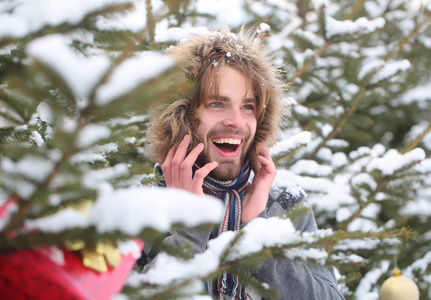 对杉木树上雪自然微笑的家伙