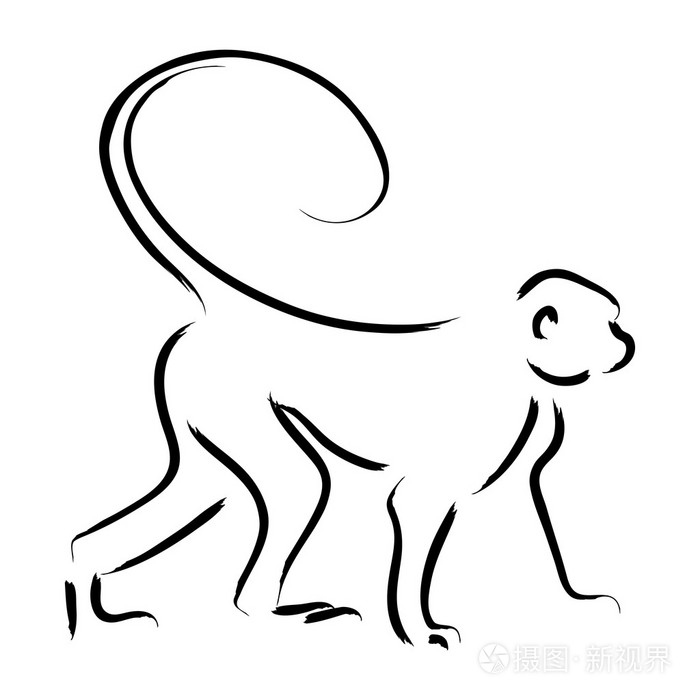 线条艺术插画的一只猴子