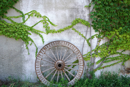 旧砖墙上的木轮