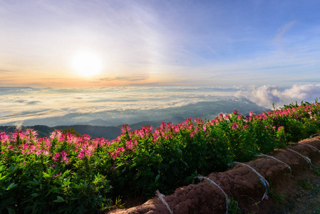 高山的雾海